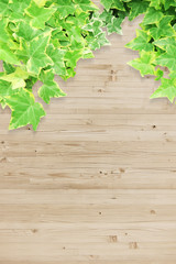 wood leaf texture