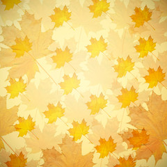 Naklejka na ściany i meble Abstract autumn background