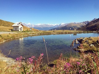 Fototapete bei efototapeten.de bestellen   