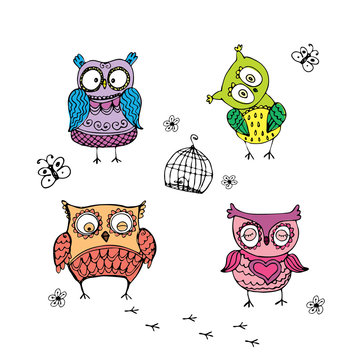 Collection of  different owls,hand drawing