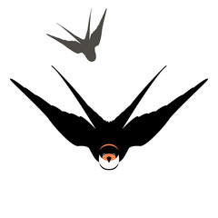 swallow in flight vector illustration black silhouette