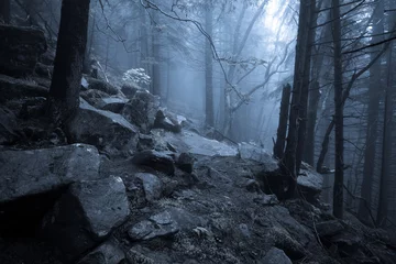Zelfklevend Fotobehang Rocky path through old foggy forest at night © Nickolay Khoroshkov