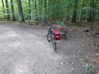 Fahrradtour durch den Wald