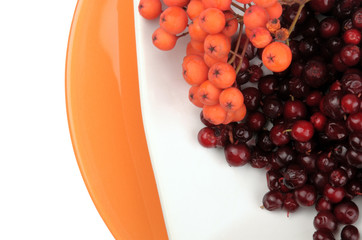 still life on a white background - orange and white plates with fresh rowan berries and lingonberries. healthy eating