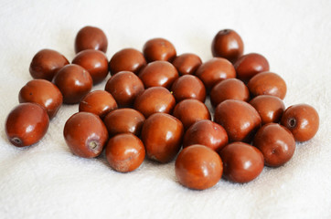 Jujube (Ziziphus Jujuba) fruit with medicinal properties.