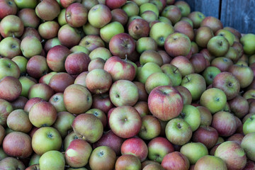 Äpfel auf dem Markt