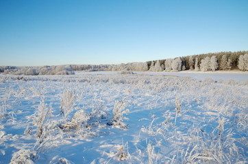 Winter landscape with hoarfrost