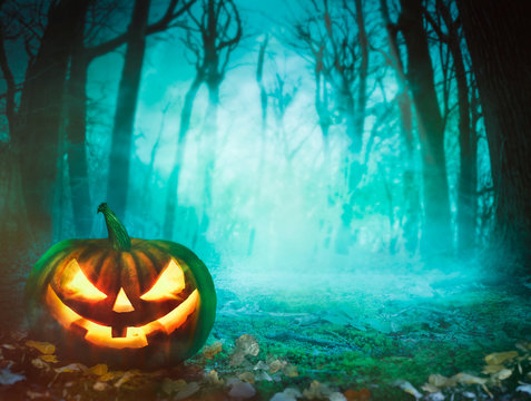 Halloween pumpkin in forest