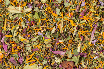 Dried herbal tea leaves