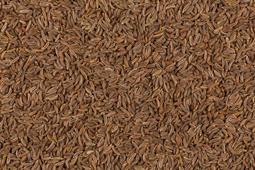 Close up caraway seeds