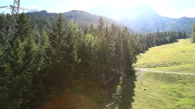 Green trees with sun at mountain near Biberwier, Austria 