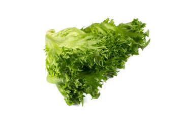 fresh lettuce texture