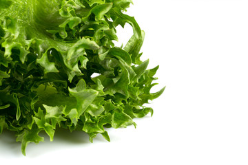 Obraz na płótnie Canvas fresh lettuce texture