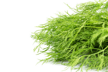 Fresh organic dill