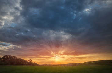 Fototapeta na wymiar sunset over green meadow