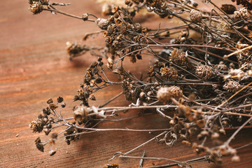 a plurality of organic dried flowers and plants close-up on wooden background. autumn Still Life