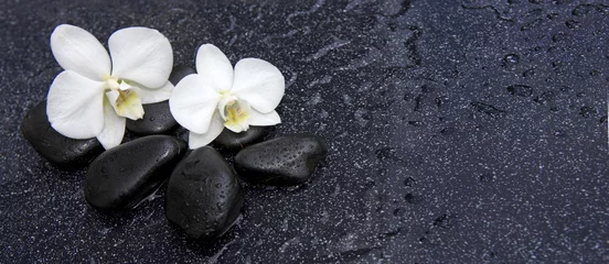 Fototapeten Einzelne weiße Orchidee und schwarze Steine hautnah. © Swetlana Wall