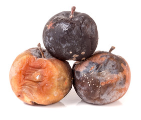 three rotten apple isolated on a white background