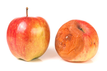 rotten and good apple isolated on white background