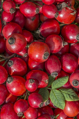 rose hips close up