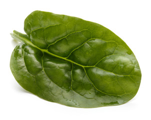 Baby spinach leaves isolated on white background cutout