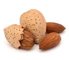 Almond nut in shell and shelled isolated on white background clo
