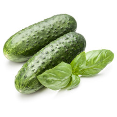 Cucumber vegetable and basil leaves isolated on white background