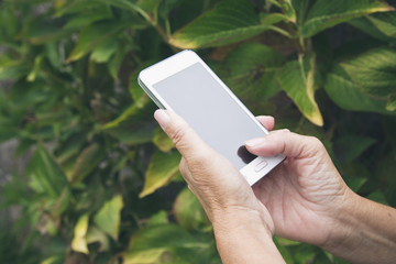 hand senior woman with mobile phone