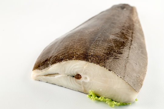 heilbutt