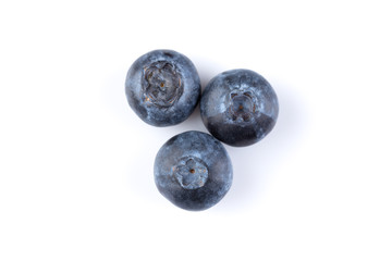 Blueberries on white background