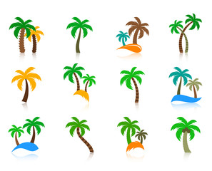Fototapeta na wymiar Colorful vector palm tree icons collection