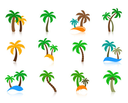 Colorful vector palm tree icons collection