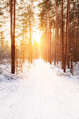 Amazing Beautiful sunset sunrise sun sunshine in sunny winter snowy