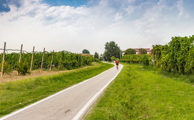 Fototapete bei efototapeten.de bestellen   