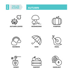 Thin line icons. Autumn
