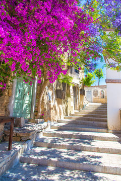 Fototapeta Street with flower of Capoliveri village in Elba island, Tuscany, Italy, Europe.