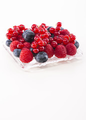 Wild berries and white dessert