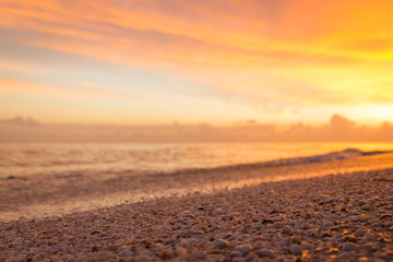 Fototapeta premium closeup of shells on beach with sunset in background