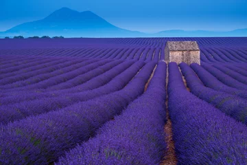 Stickers fenêtre Lavande Stone hut on lavender field in Provence