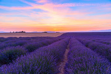 Fototapeta na wymiar Stunning landscape with lavender field at sunset