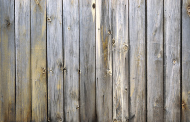 Naklejka premium Background from old boards with knots and scratches. traces of the influence of weather. partially tinted photo.