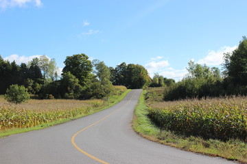 Fototapeta na wymiar Country Road in Southern Quebec