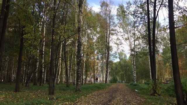 Времена года - осень