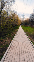the sidewalk is lined with pavement