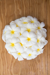 Obraz premium Frangipani background Wood