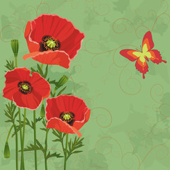Floral vintage background with poppies and butterfly