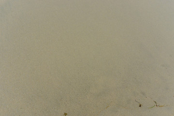 sand from beach background