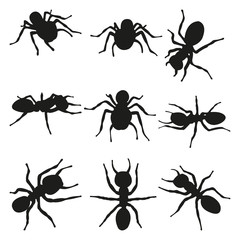 Spiders Vector Silhouettes