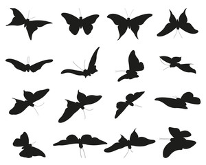 Butterflies Vector Silhouettes
