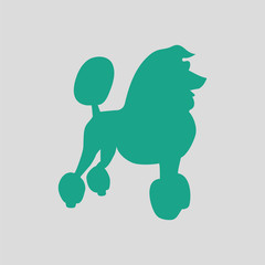 Poodle icon